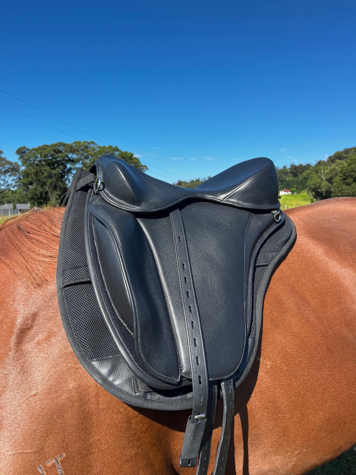 Freeform DKR Treeless Dressage Saddle - Freeform Saddles