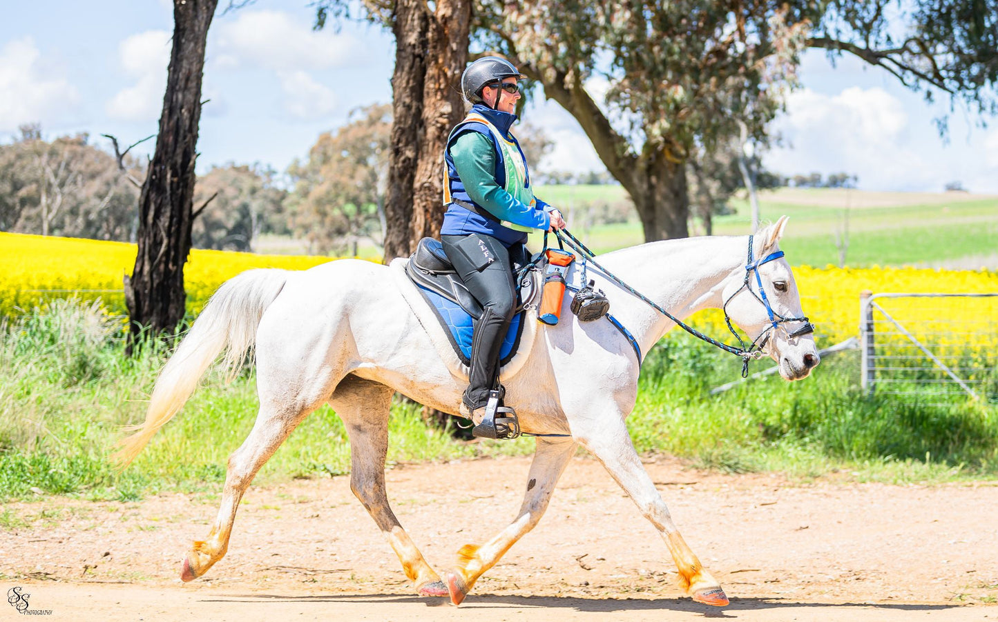 Freeform Ultimate Trail Treeless Saddle - Freeform Saddles