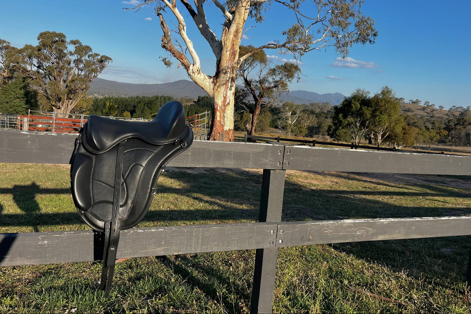 Treeless Italian leather saddles