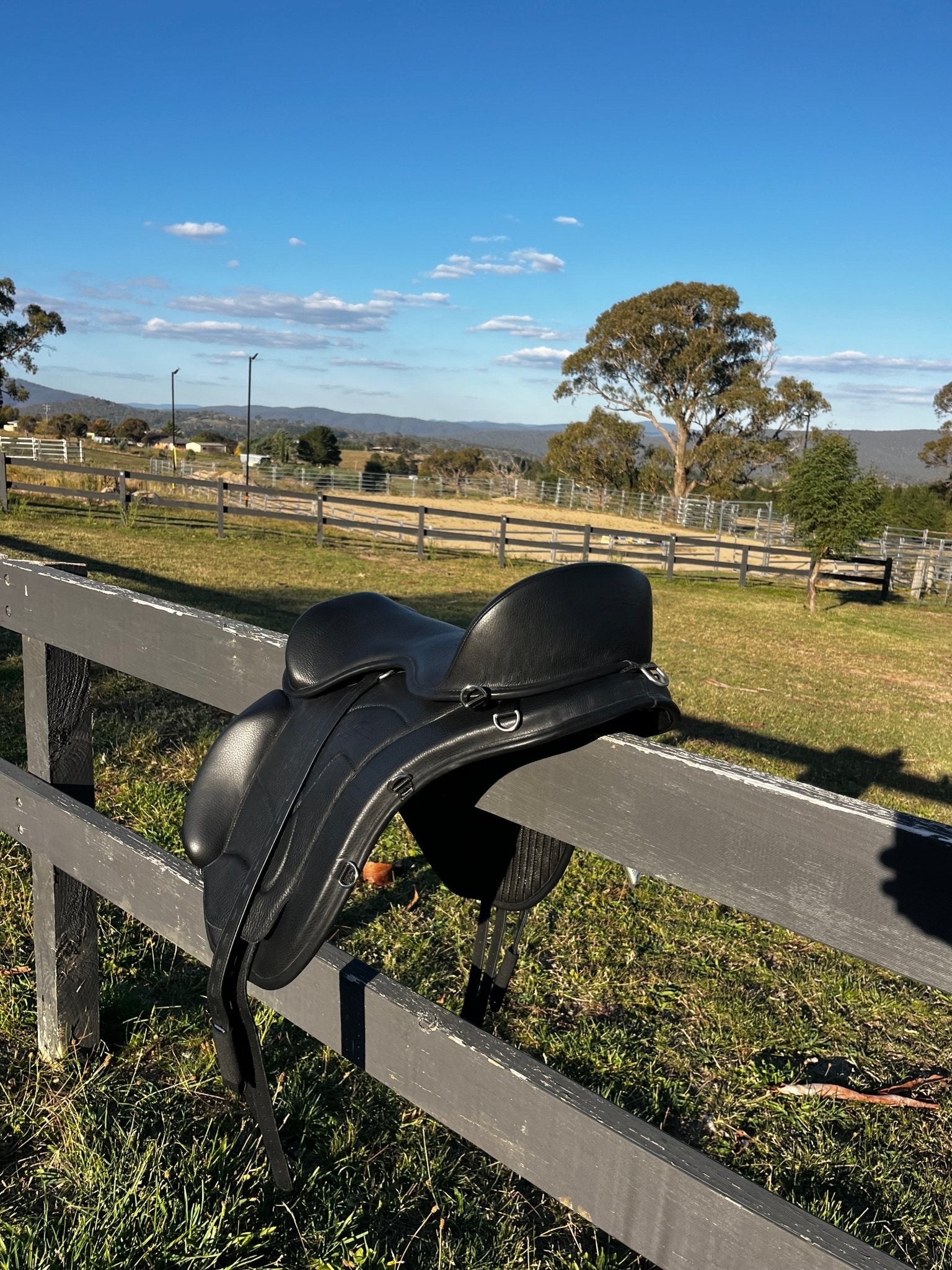 Freeform Classic Trail Treeless Saddle - Freeform Saddles