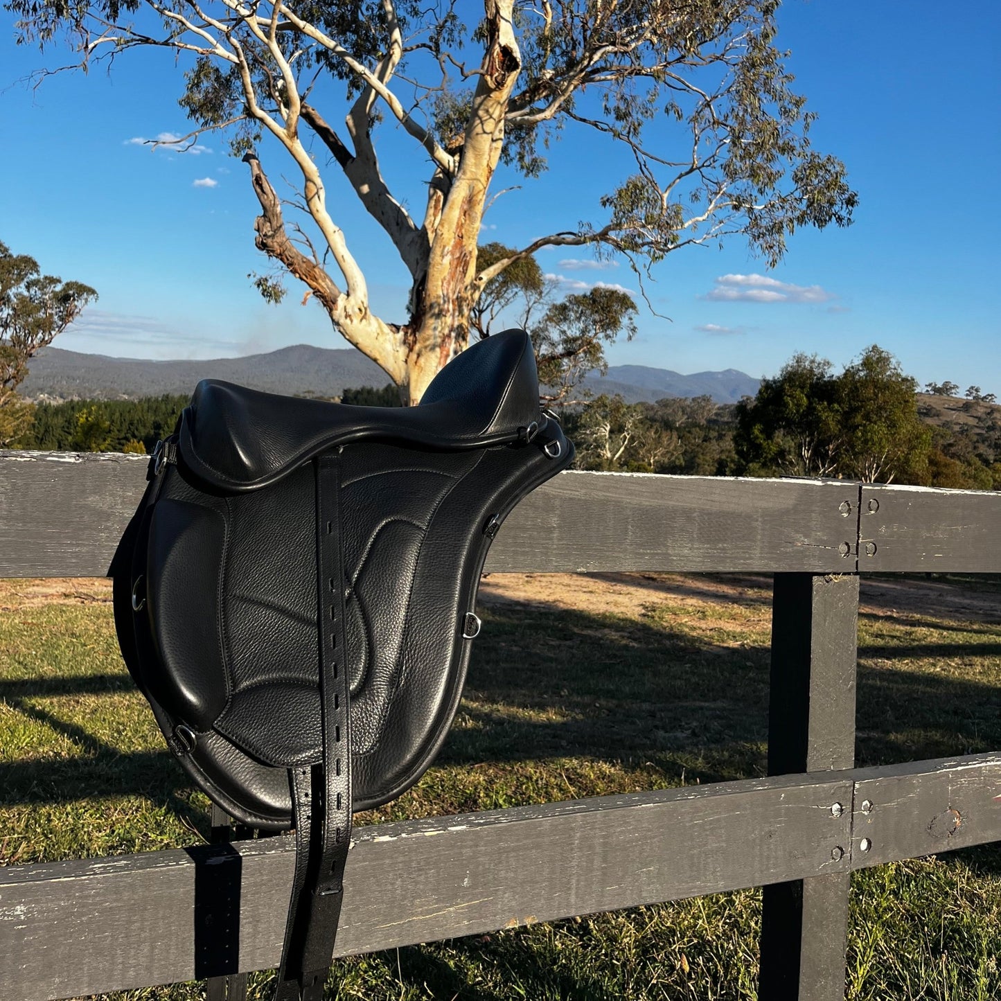 Freeform Classic Trail Treeless Saddle - Freeform Saddles