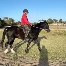 Freeform Classic Treeless Saddle - Freeform Saddles