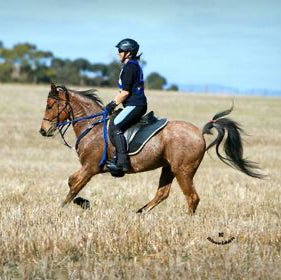 Freeform Classic Treeless Saddle - Freeform Saddles