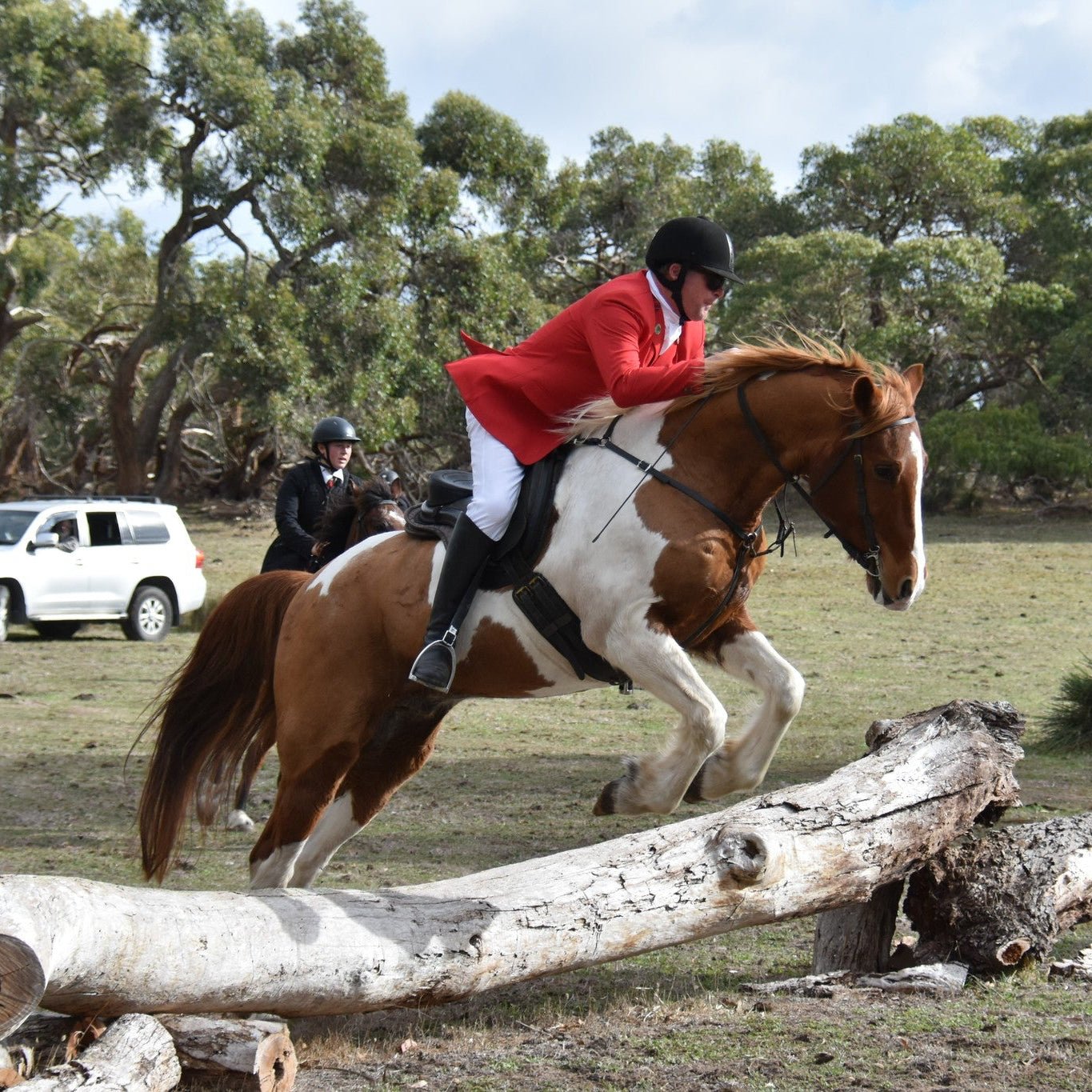Freeform Classic Treeless Saddle - Freeform Saddles