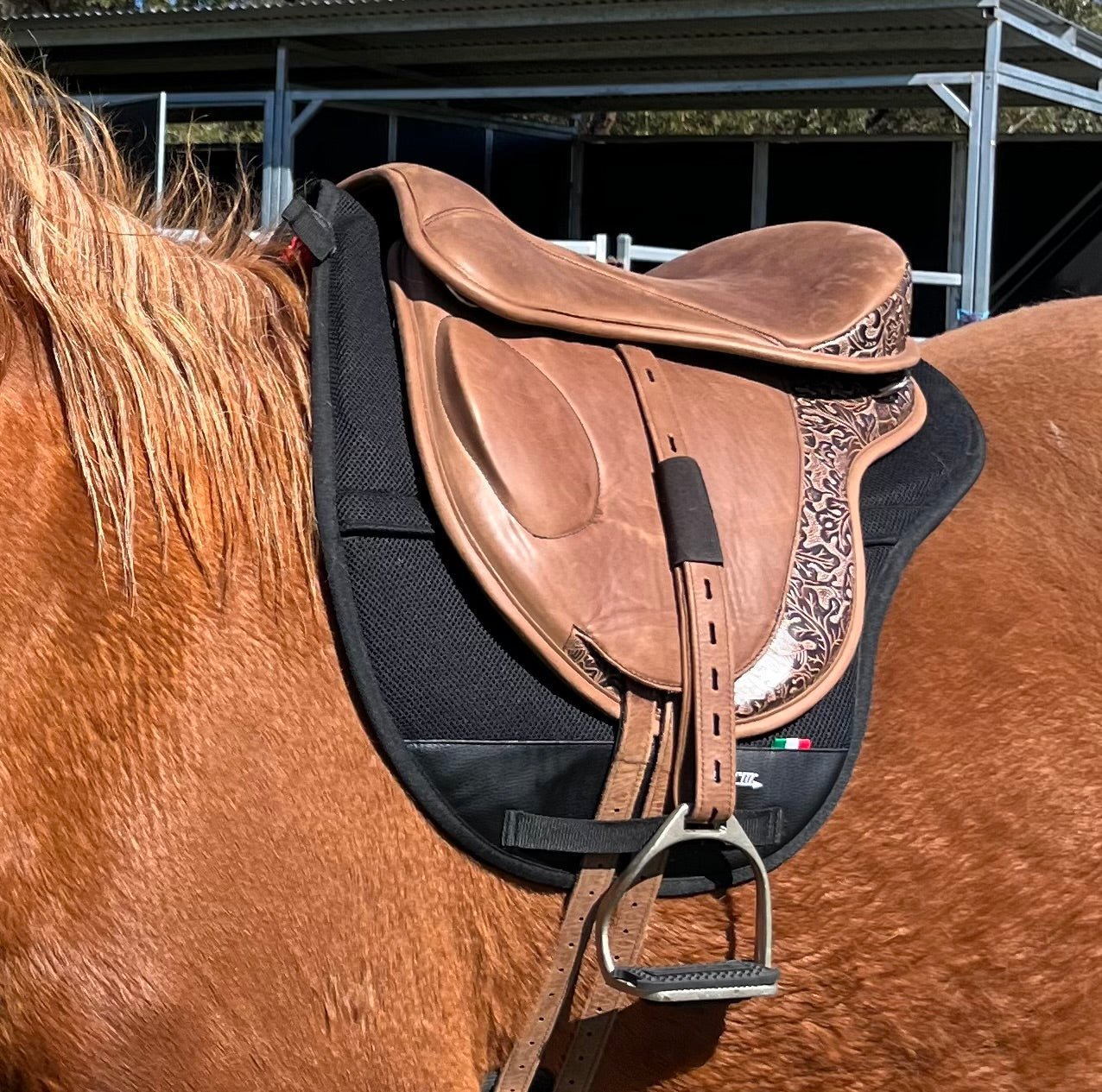 Freeform Junior Treeless Saddle Ex - Demo - Freeform Saddles